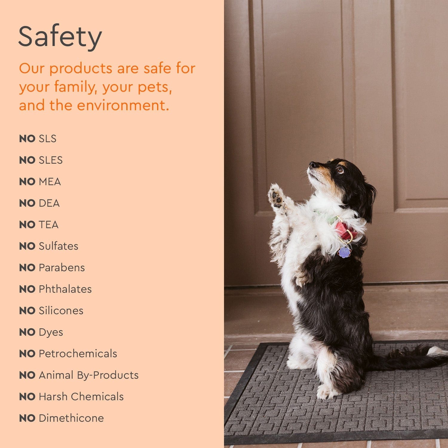 Pet Stain & Odor Remover